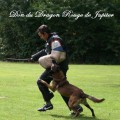 DON DU DRAGON ROUGE DE JUPITER