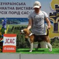 CHERRY GREAT BEAGLE