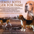 SHEMSU SOTIS EAGER FOR FAME