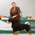 SENNENHUND ROSSII FARAON SENNENHUND ROSSII FARAON