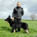 FLIP-FRED VON VEGAS IMPERIUM
