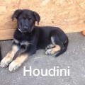 HOUDINI VON VEGAS IMPERIUM