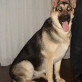 AIDA VON VEGAS IMPERIUM