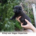 KINAJ VON VEGAS IMPERIUM