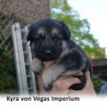 KYRA VON VEGAS IMPERIUM