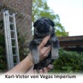KARL-VICTOR VON VEGAS IMPERIUM