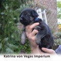 KATRINA VON VEGAS IMPERIUM