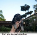 KARL VON VEGAS IMPERIUM