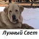 Аватара пользователя